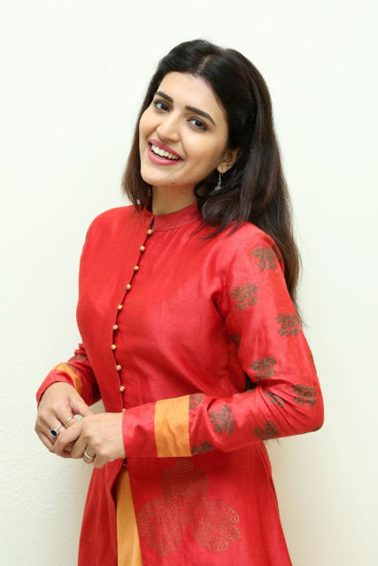 Actress Chitra Shukla Beautiful Photo Shoot In Red Dress 16